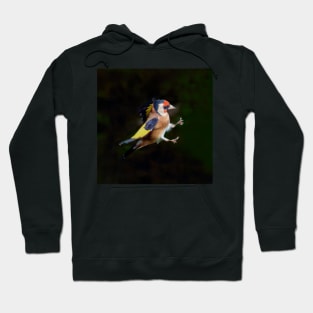 European goldfinch (Carduelis carduelis) Hoodie